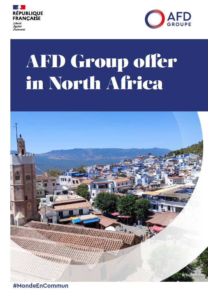 afd group offer in north africa