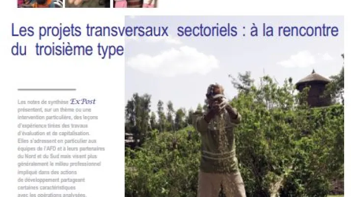 Les projets transversaux sectoriels : à la rencontre du troisième type