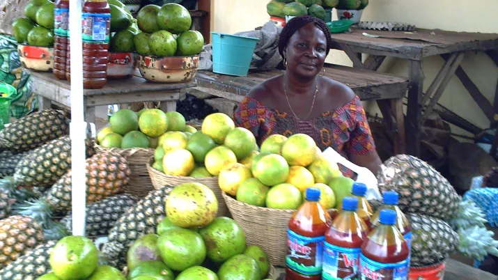 Développer la microfinance en faveur de l’agriculture et des PME - image
