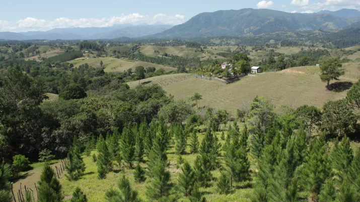 Reboiser la Cordillère centrale - Image -