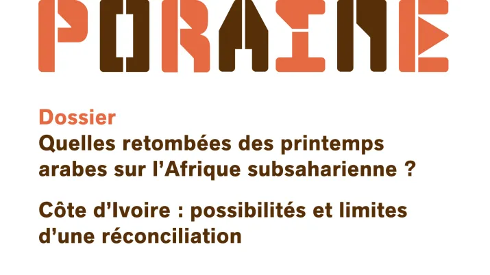 Quelles retombées des printemps arabes sur l'Afrique subsaharienne ?
