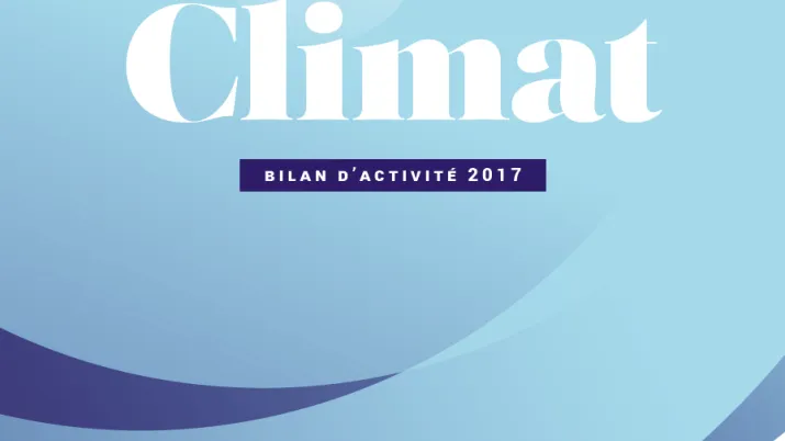 bilan activité climat AFD 2017