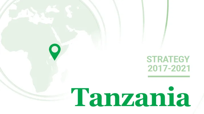 Strategy Tanzania
