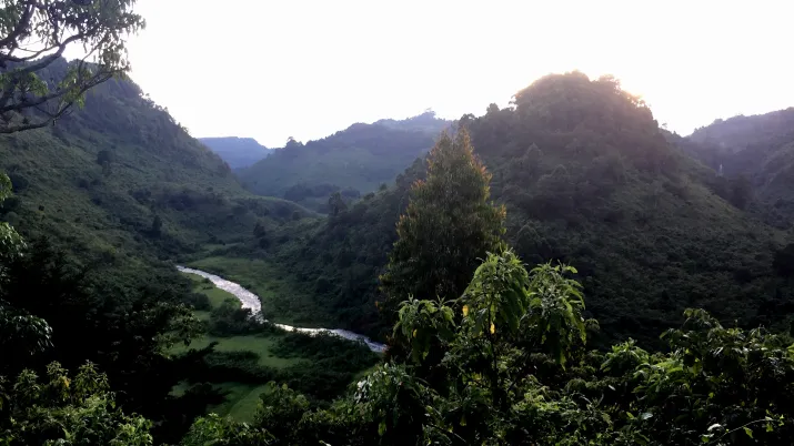 Rehabilitation of the Aberdares Forest