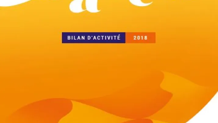 Sahel : bilan d'activité 2018 du groupe AFD