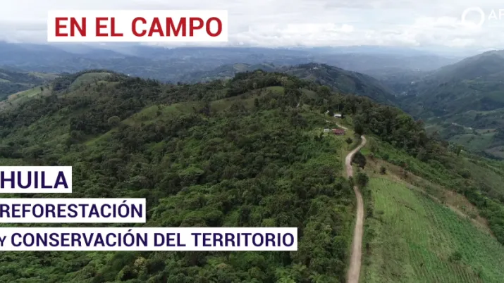HUILA: Reforestación y conservación del territorio