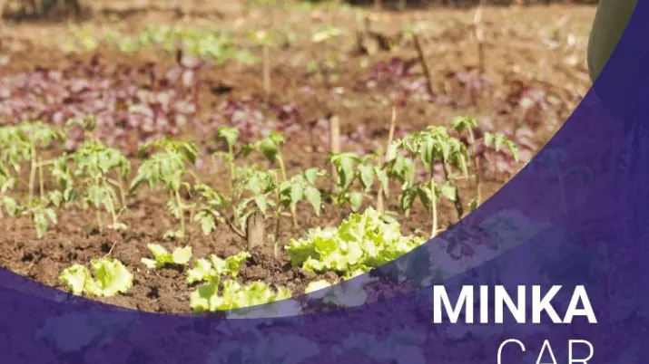 Minka CAR Initiative