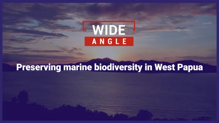 Preserving marine biodiversity in West Papua, Indonesia