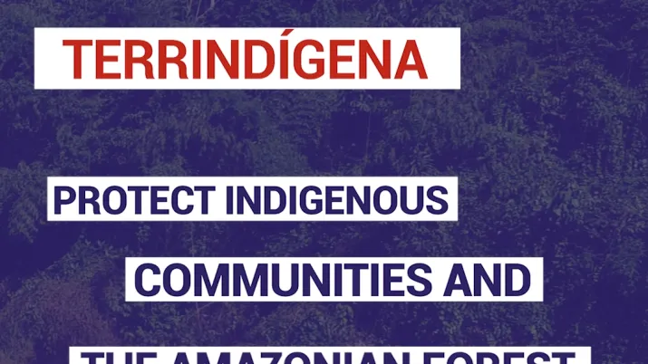 Protect indigenous communities and the amazonian forest