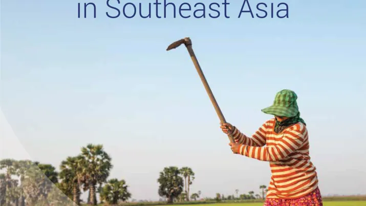 AFD Group & Europe in Southeast Asia