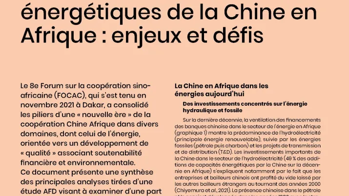 Le verdissement des investissements énergétiques de la Chine en Afrique