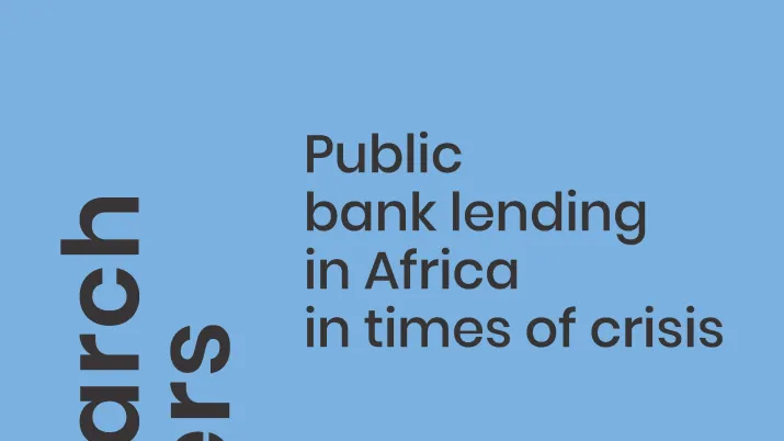 Public bank lending in Africa in times of crisis_couv1