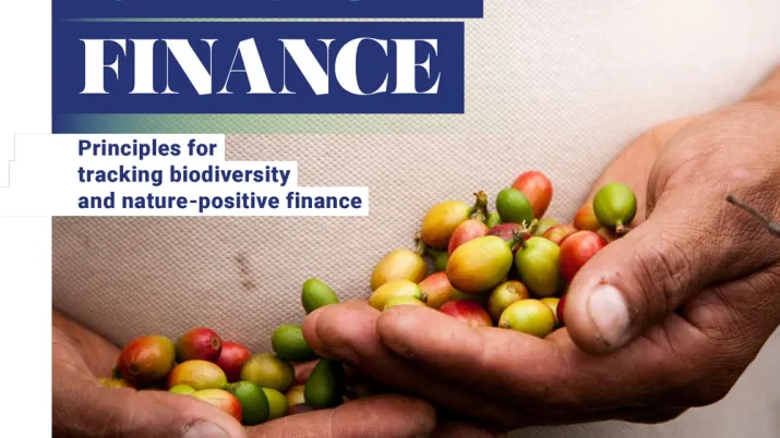 Nature+ Finance: Principles for tracking biodiversity and nature-positive finance