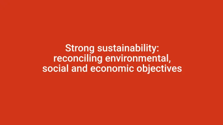 Strong sustainability