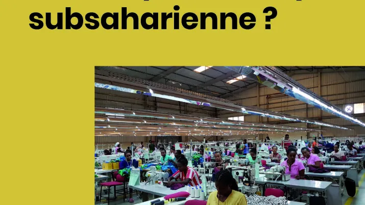 Quelles perspectives d’industrialisation tardive pour l’Afrique subsaharienne ?