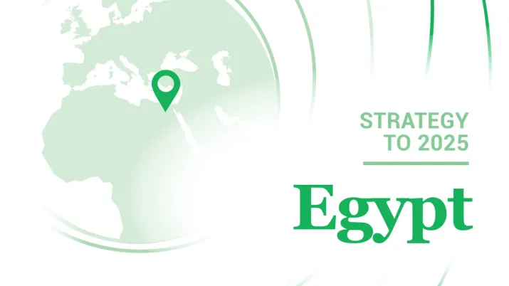Egypt - Strategy to 2025