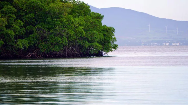 Une île aux caraïbes