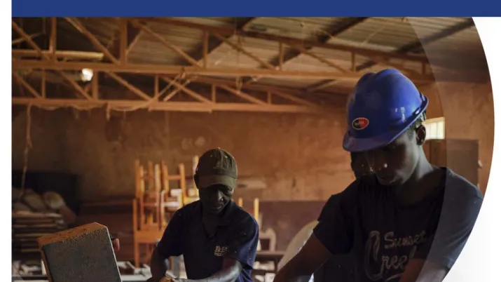L'offre du groupe AFD en Guinée