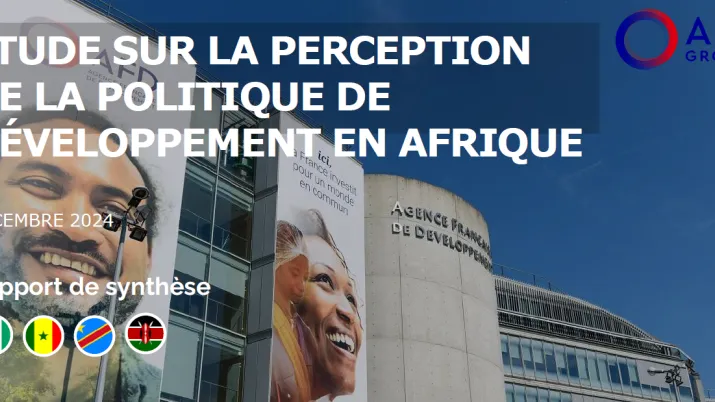 etude perception politique de developpement afrique