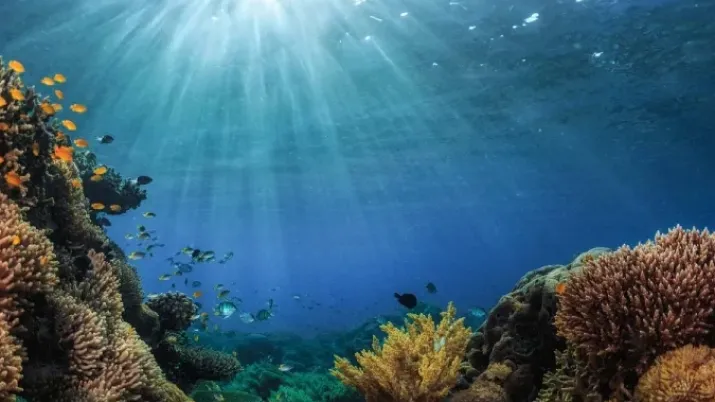 Initiative Kiwa, AFD, biodiversité et adaptation au changement climatique dans le Pacifique