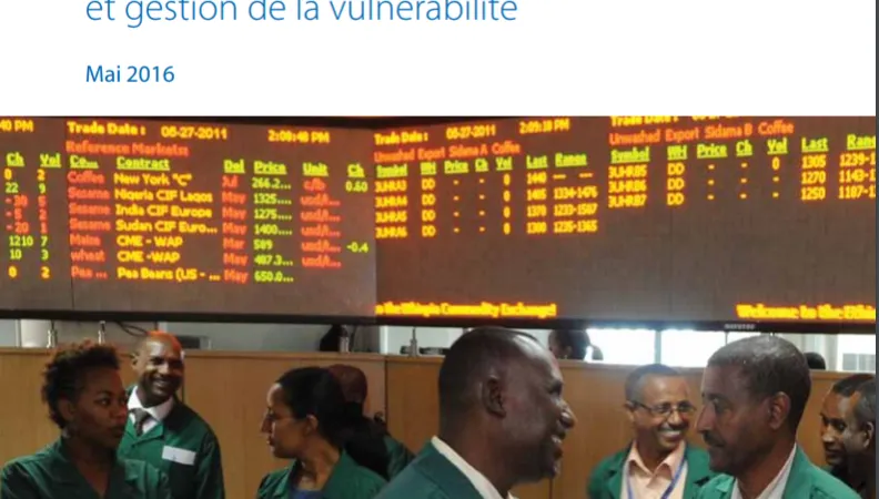 Financement des objectifs de développement durable (ODD) dans les pays les moins avancés (PMA)