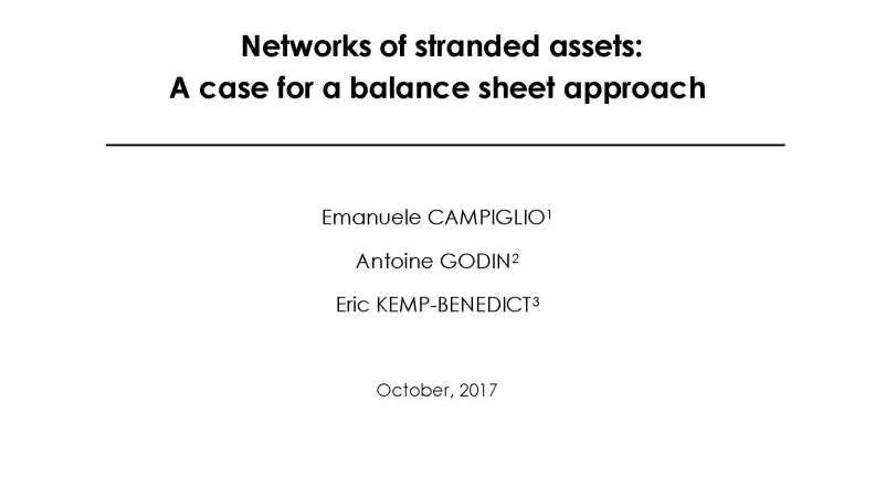 pr_54_Networks of stranded assets_couv