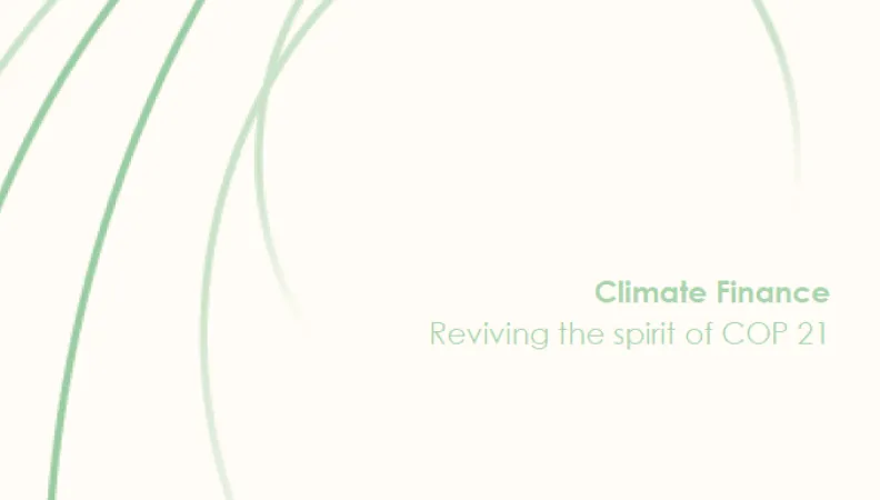 climate finance Rémy Rioux