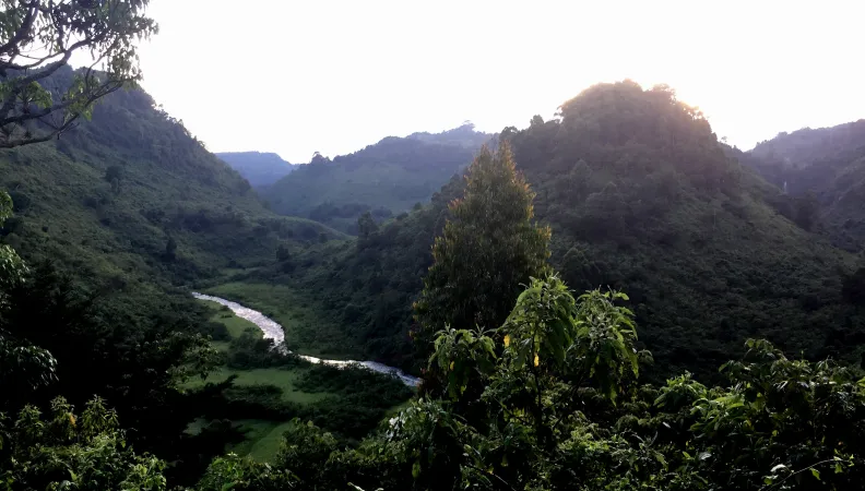Rehabilitation of the Aberdares Forest