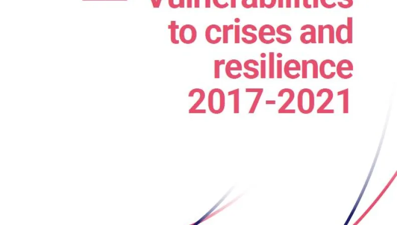 Strategy Vulnerabilities to Crises and Resilience 2017-2021