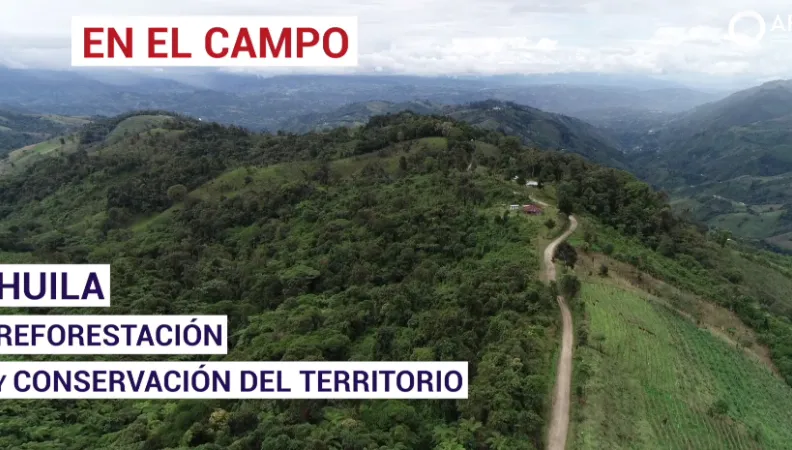 HUILA: Reforestación y conservación del territorio