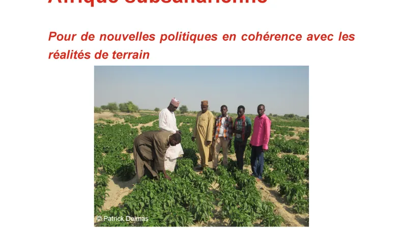 Couverture étude sur le conseil agricole en Afrique subsaharienne