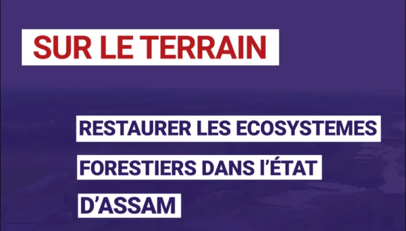 Restaurer les écosystèmes forestiers dans l'état d'Assam