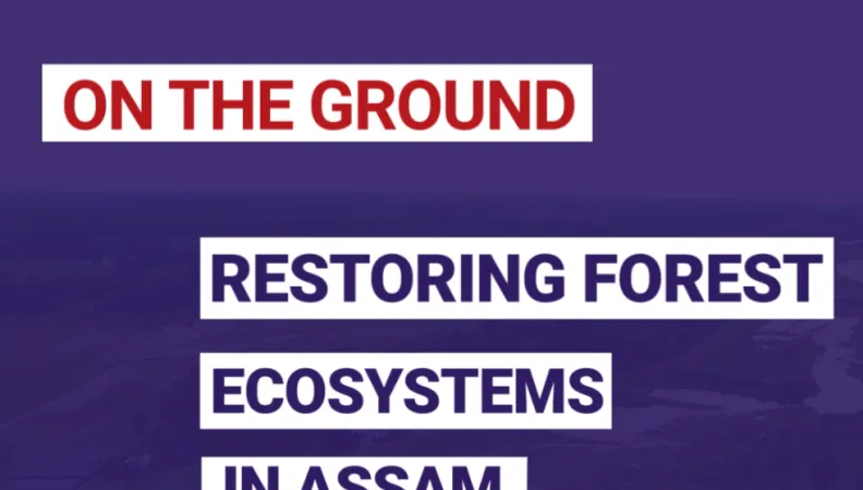 Restoring forest ecosystem in Assam