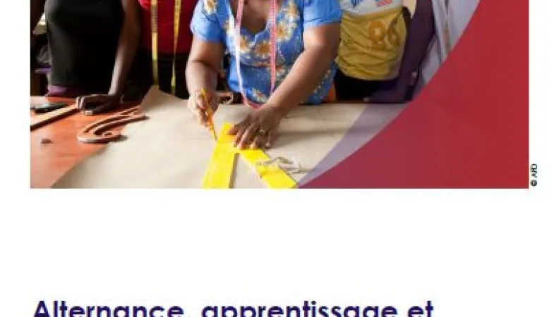 Alternance, apprentissage et professionnalisation