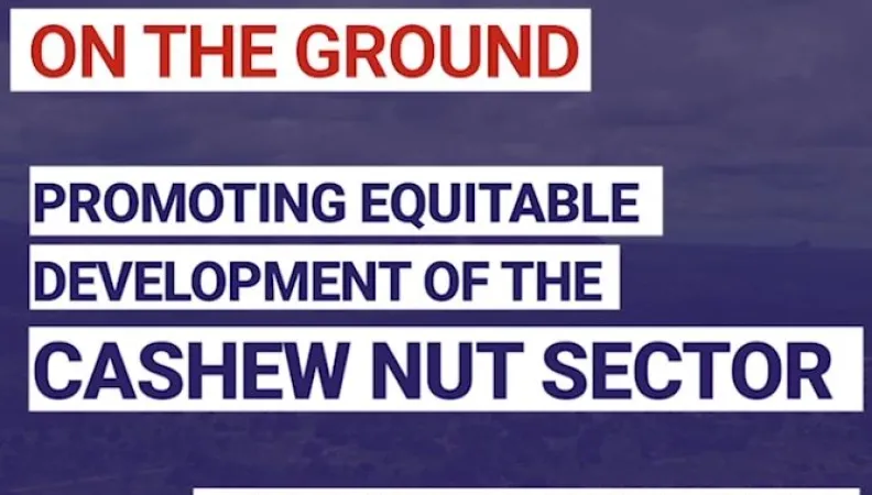 Promoting equitable development of the cashew nut sector in Mozambique