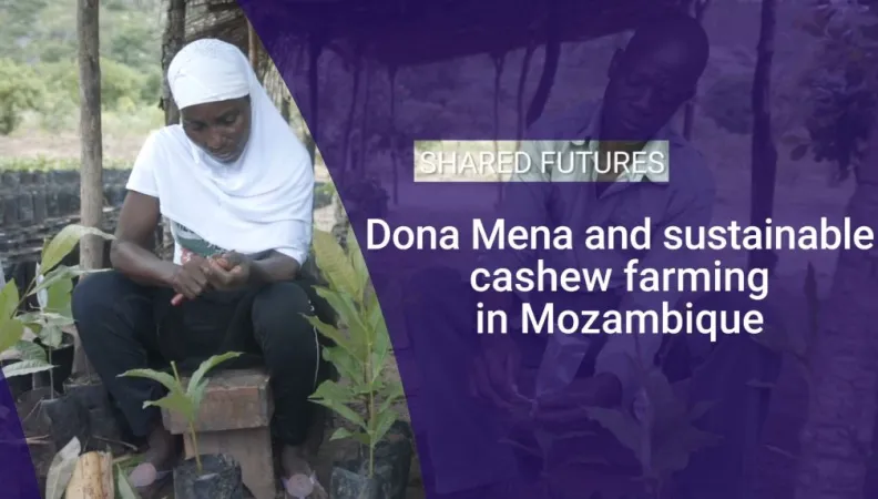Dona Mena and sustainable cashew farming in Mozambique
