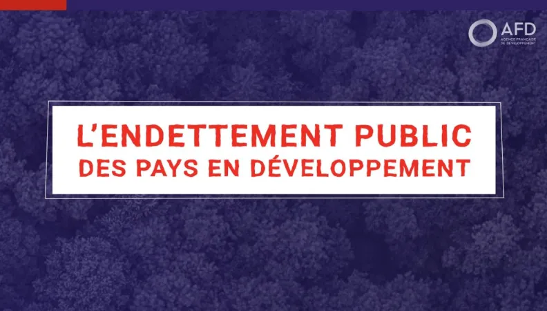 L'endettement public des pays en développement avec Maxime Terrieux