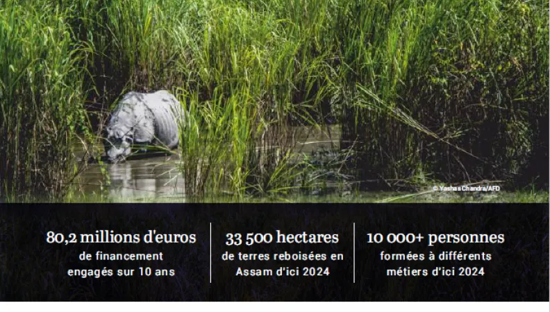 L'AFD et l'Inde: focus sur la biodiversité