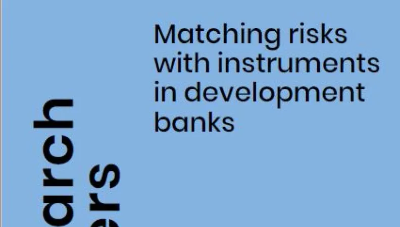 matching-risks-instruments-development-banks