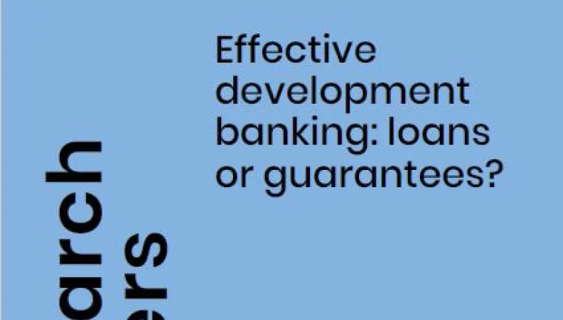 effective-development-banking-loans-guarantees