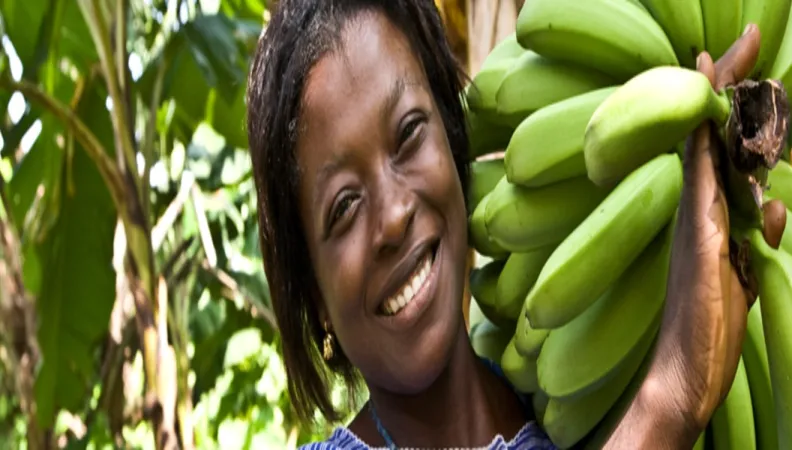 Fairtrade Ong projet