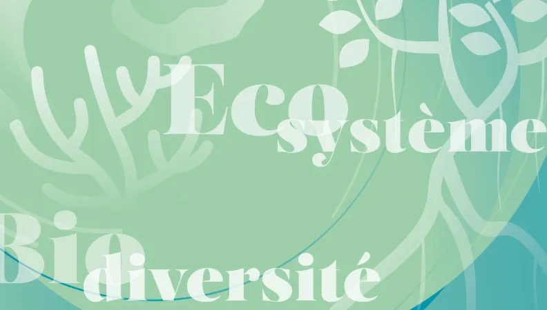 Projet biodiversite climat