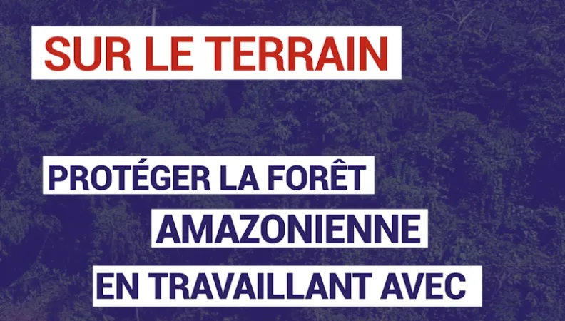 Protéger la forêt amazonienne en travaillant avec les peuples autochtones