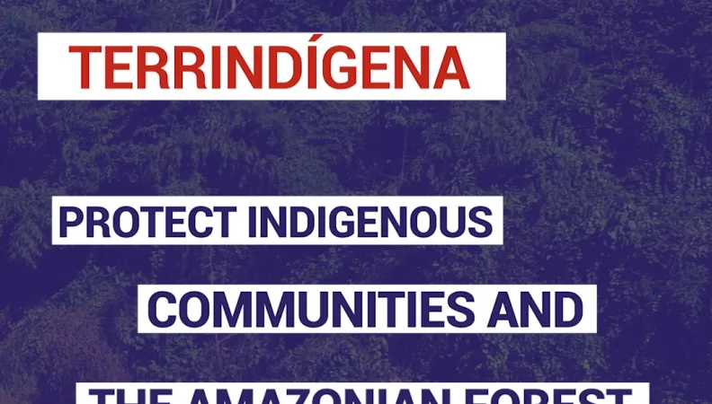 Protect indigenous communities and the amazonian forest