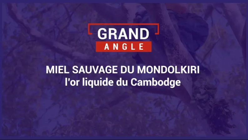 L’or liquide du Cambodge