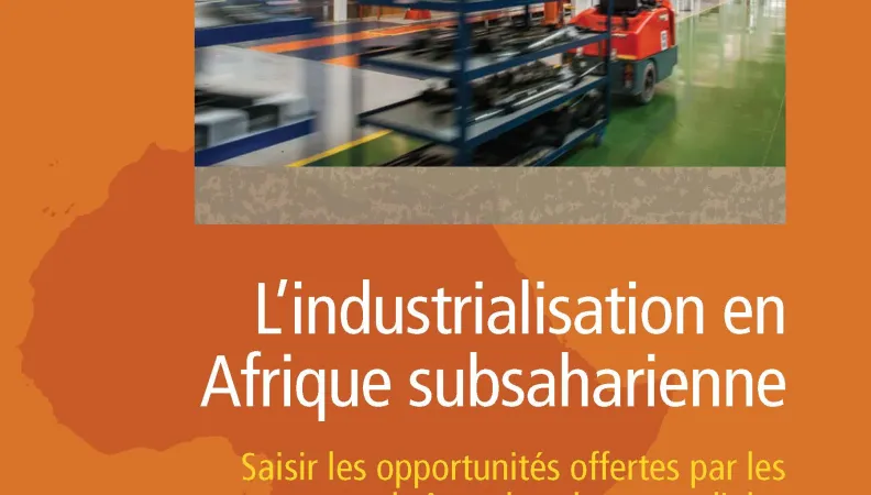 Afrique en développement_Industrialisation en Afrique