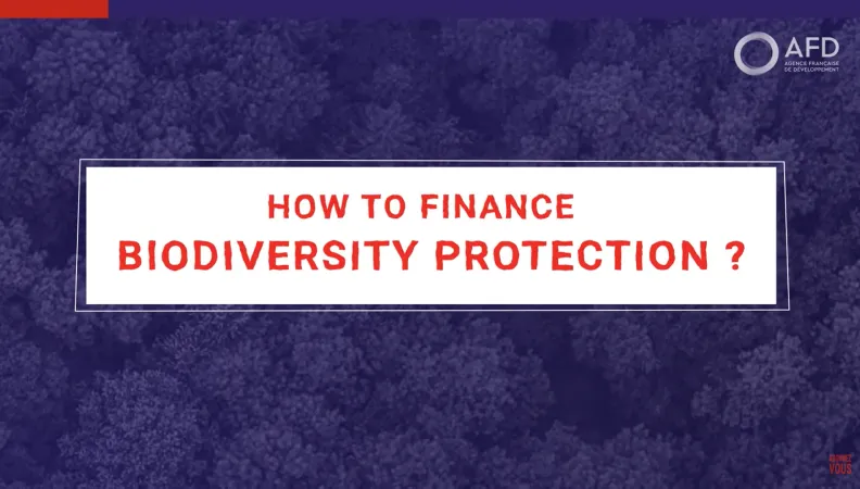 How to finance biodiversity protection?