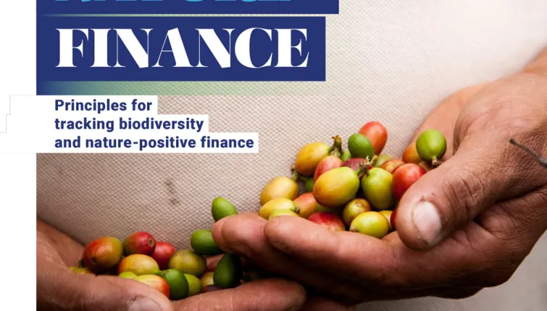 Nature+ Finance: Principles for tracking biodiversity and nature-positive finance