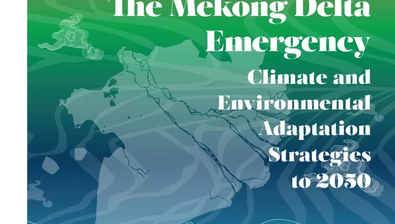 The Mekong Delta Emergency – Climate and Environmental Adaptation Strategies to 2050