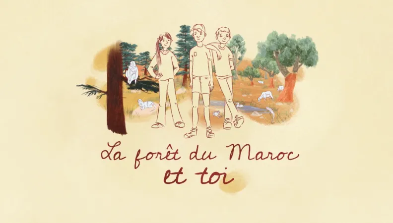 La forêt du Maroc et toi